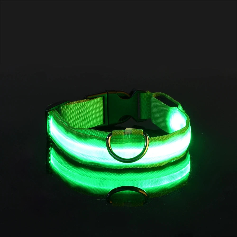 Premium Glowing LED Safety Pet Collar & Leash
