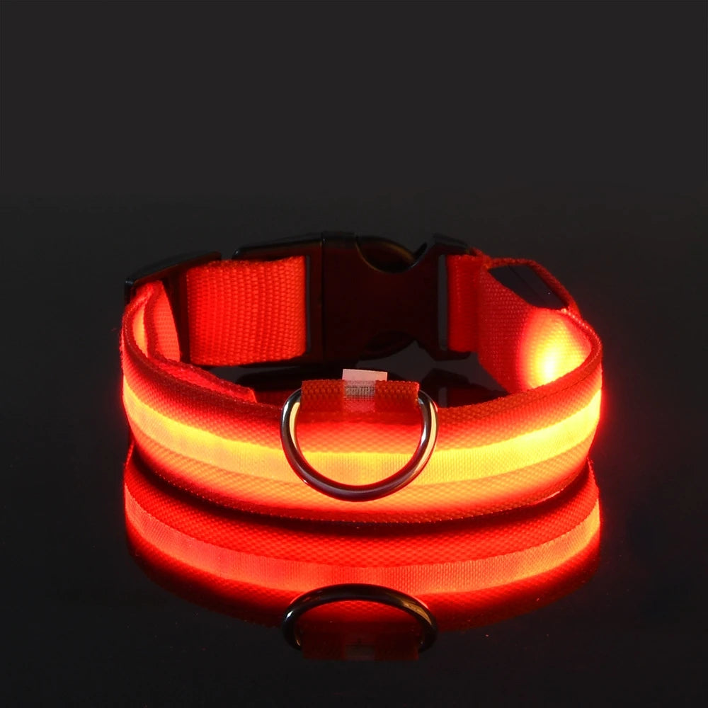 Premium Glowing LED Safety Pet Collar & Leash