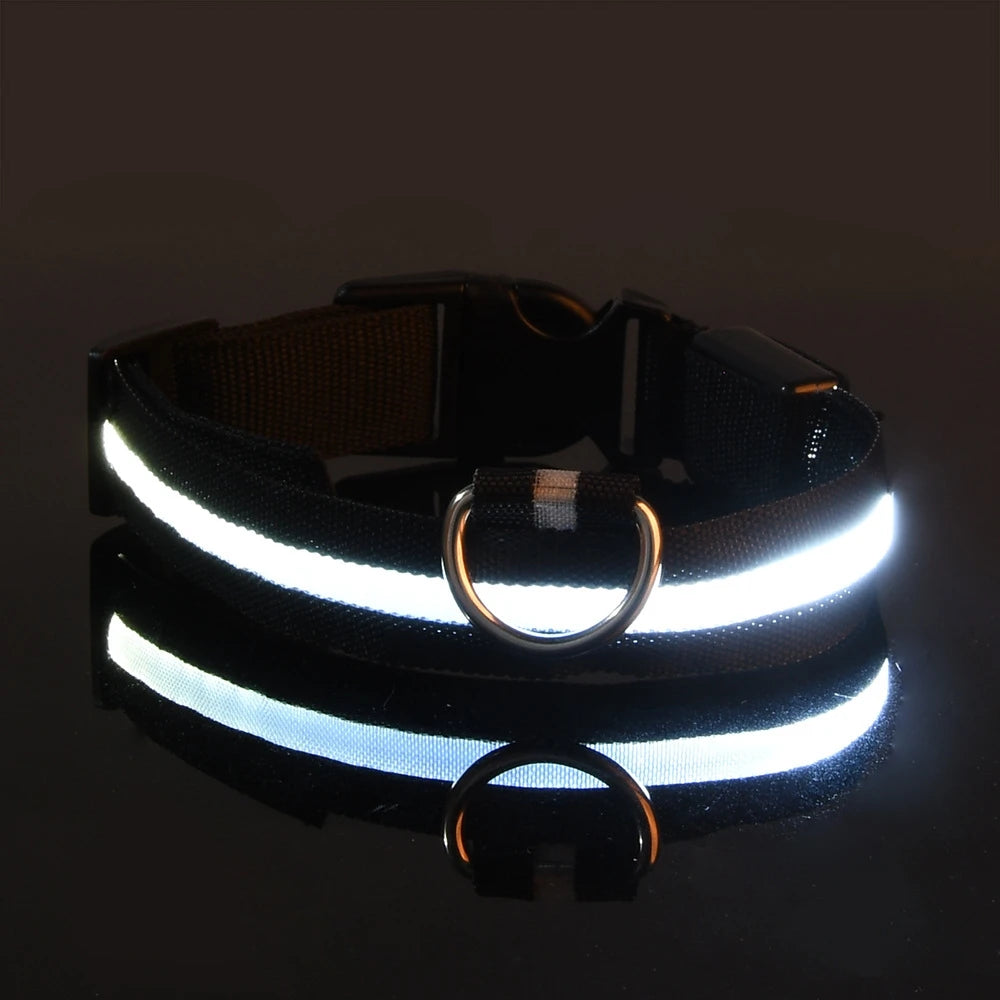 Premium Glowing LED Safety Pet Collar & Leash