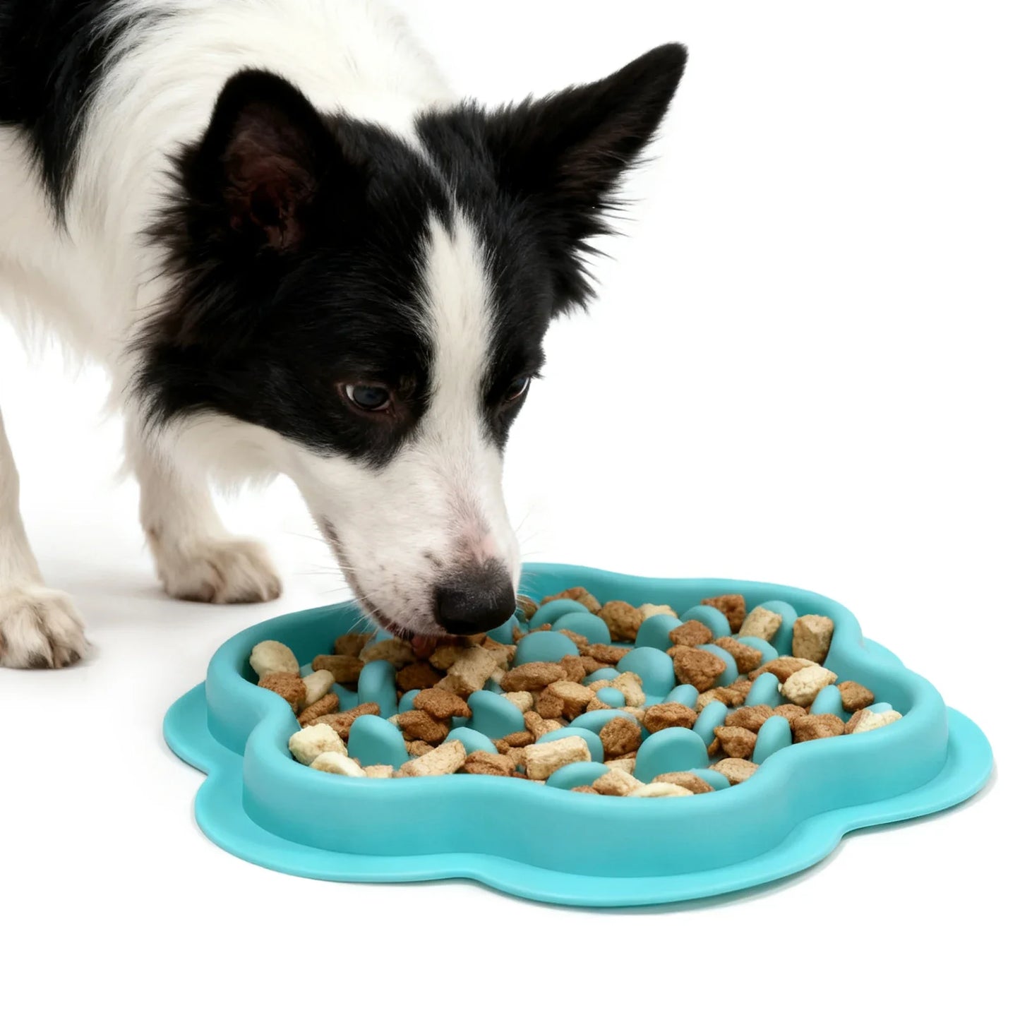 Premium Anti-Gulping Slow Feeder Bowl for Dogs & Cats