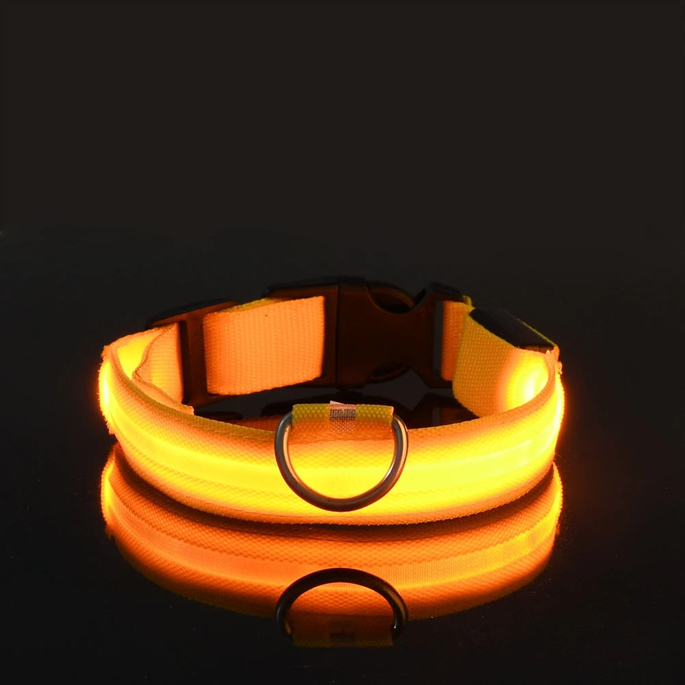 Premium Glowing LED Safety Pet Collar & Leash