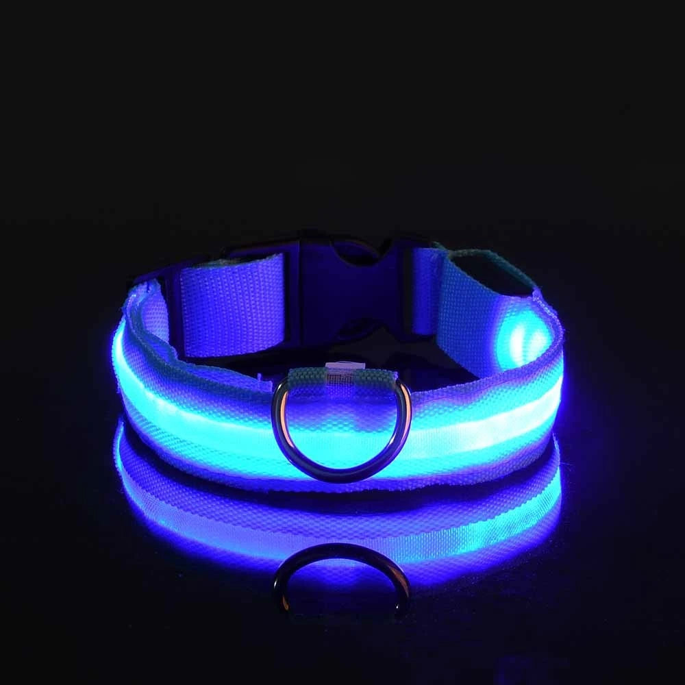 Premium Glowing LED Safety Pet Collar & Leash