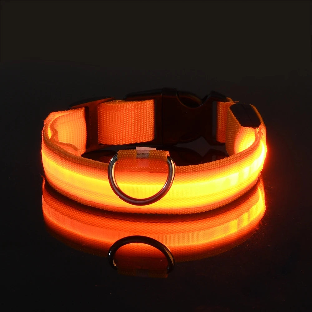 Premium Glowing LED Safety Pet Collar & Leash