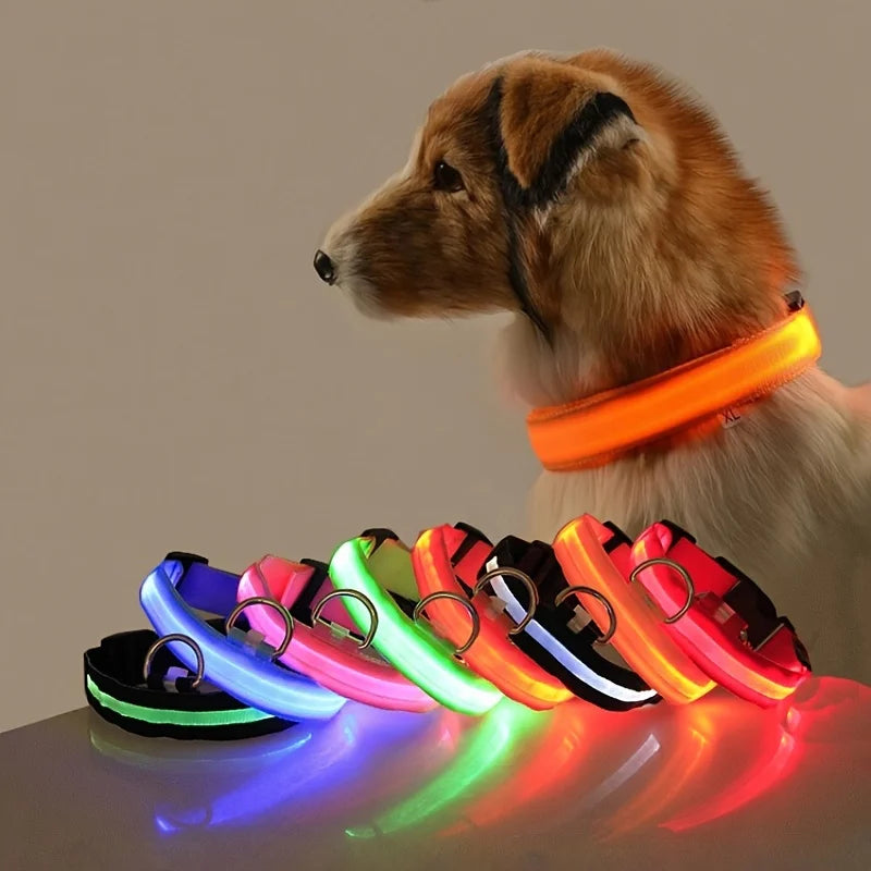 Premium Glowing LED Safety Pet Collar & Leash