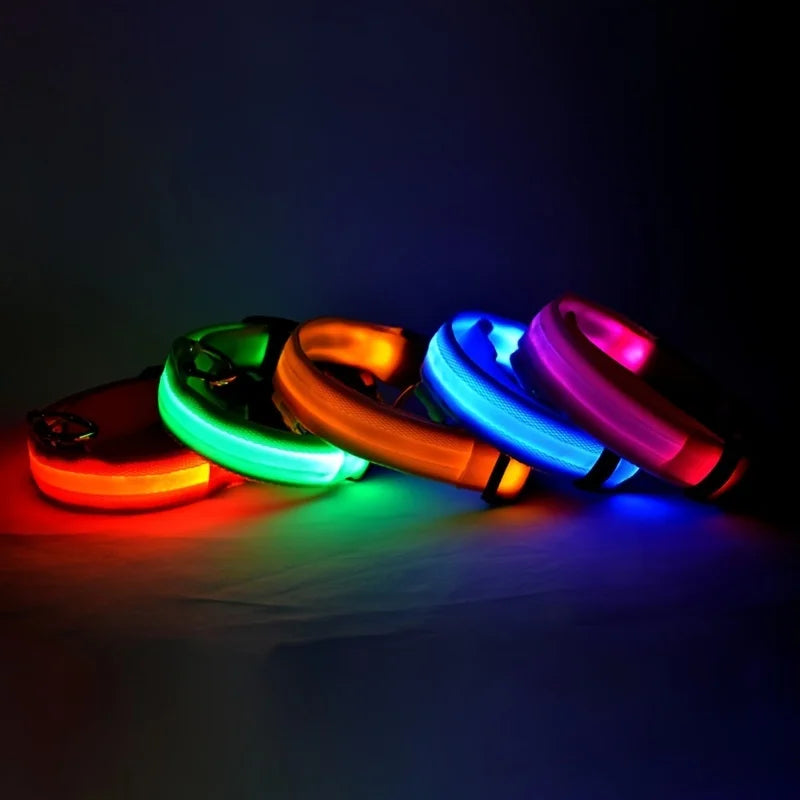 Premium Glowing LED Safety Pet Collar & Leash