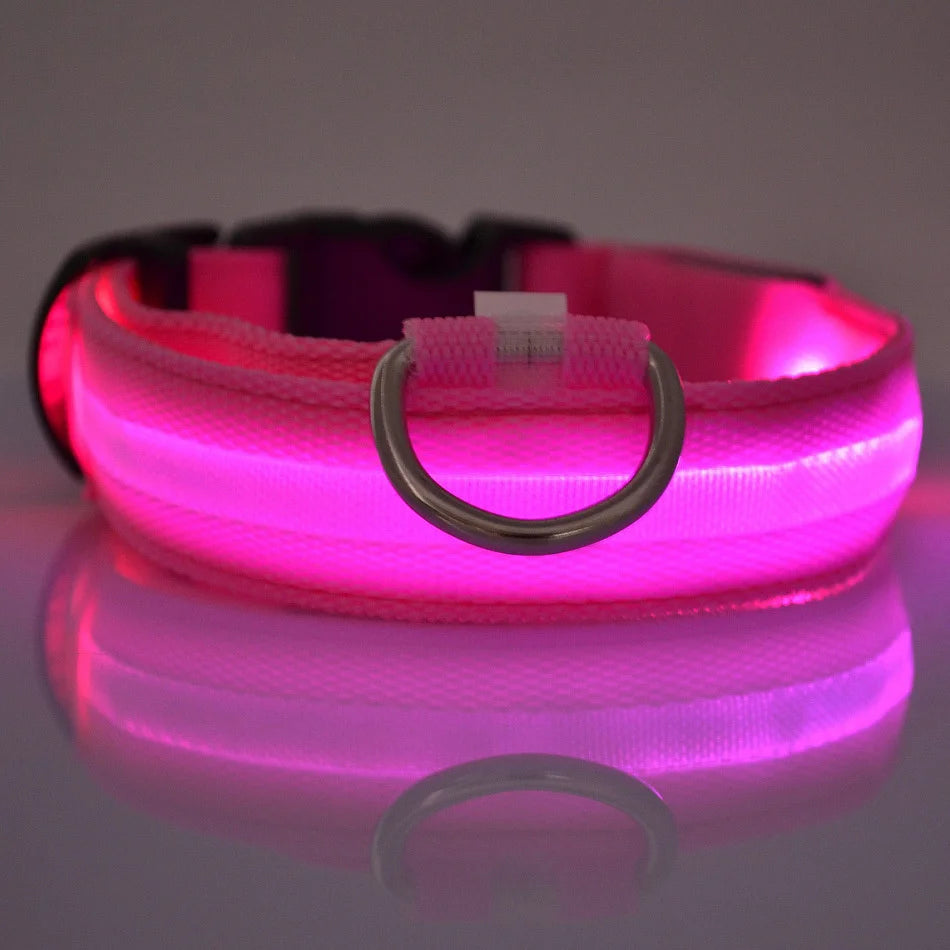 Premium Glowing LED Safety Pet Collar & Leash