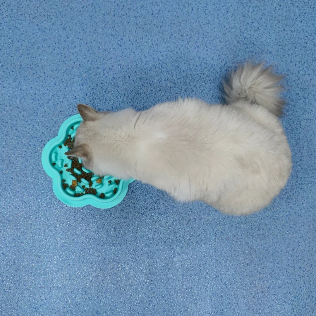 Premium Anti-Gulping Slow Feeder Bowl for Dogs & Cats