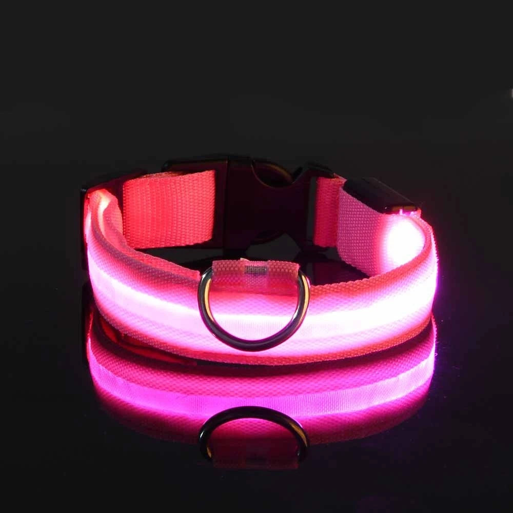 Premium Glowing LED Safety Pet Collar & Leash
